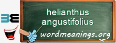 WordMeaning blackboard for helianthus angustifolius